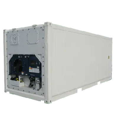 Sewa Container Reefer